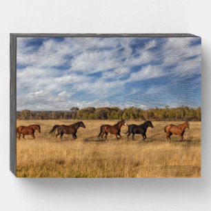 Horses Just Outside Grand Teton National Park Wooden Box Sign
