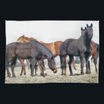 HORSES KITCHEN TOWEL<br><div class="desc">A photographic design of a herd of horses waiting to be fed.</div>