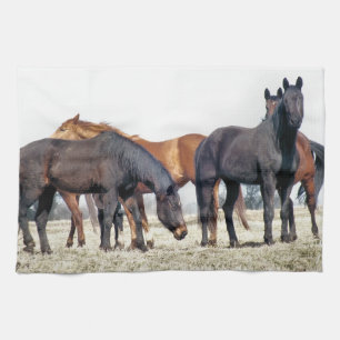 HORSES KITCHEN TOWEL