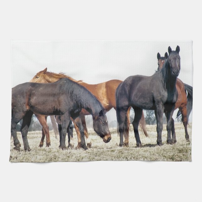 HORSES KITCHEN TOWEL (Horizontal)