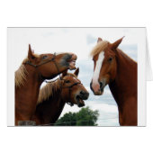 Horses laughing (Front Horizontal)