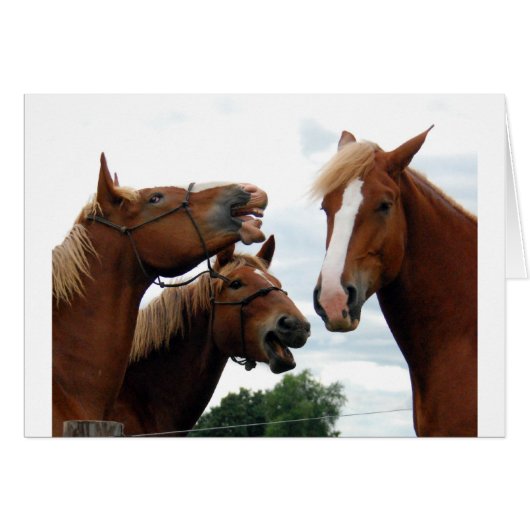 Horses laughing cards (Front Horizontal)