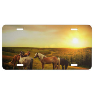 Horses License Plate