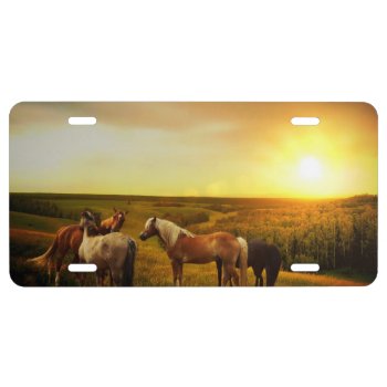 Horses License Plate by Wonderful12345 at Zazzle