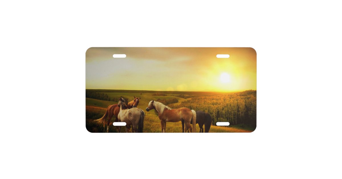 Horses License Plate Zazzle