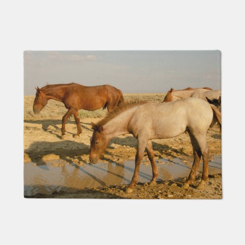Horses Looking for Water Doormat