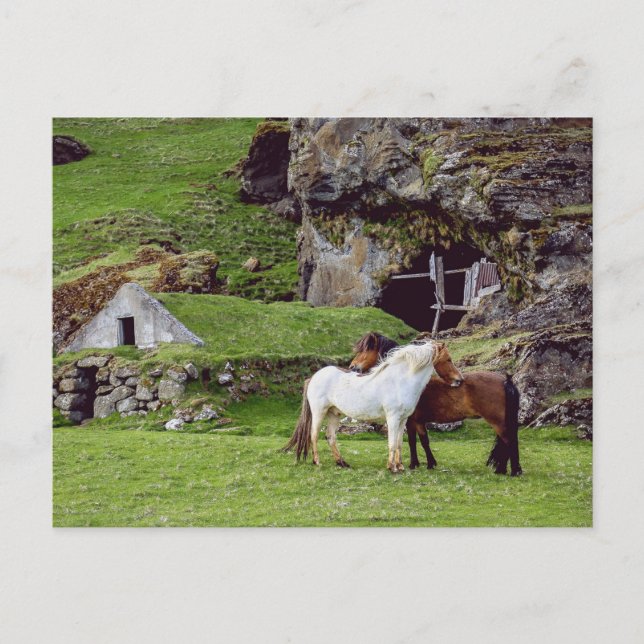 Horses Love Green Countryside Postcrossing Postcard (Front)