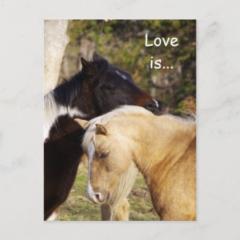 Horses Love Is Postcards by Walnut_Creek at Zazzle