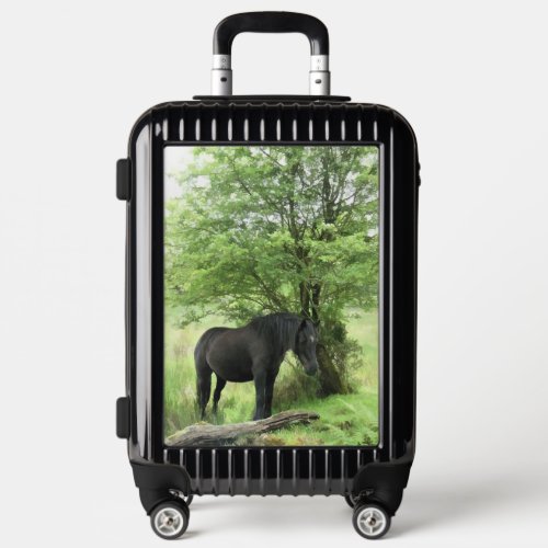 HORSES LUGGAGE