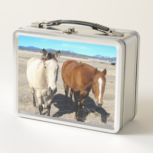 Horses Lunch Box (Front)