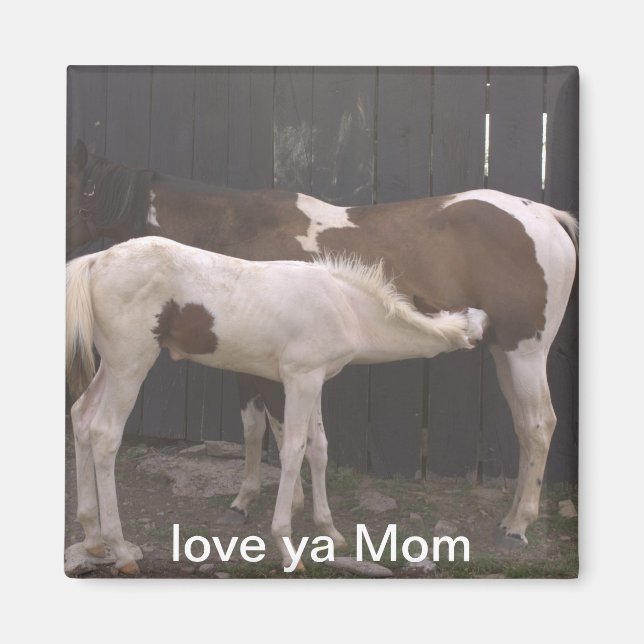 horses magnet (Front)