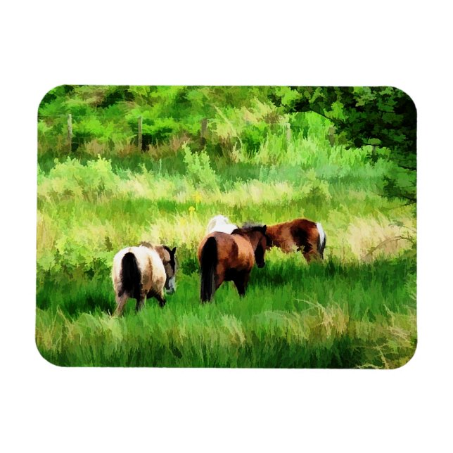 HORSES MAGNET (Horizontal)