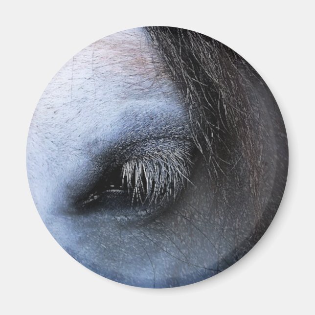 HORSES MAGNET (Front)