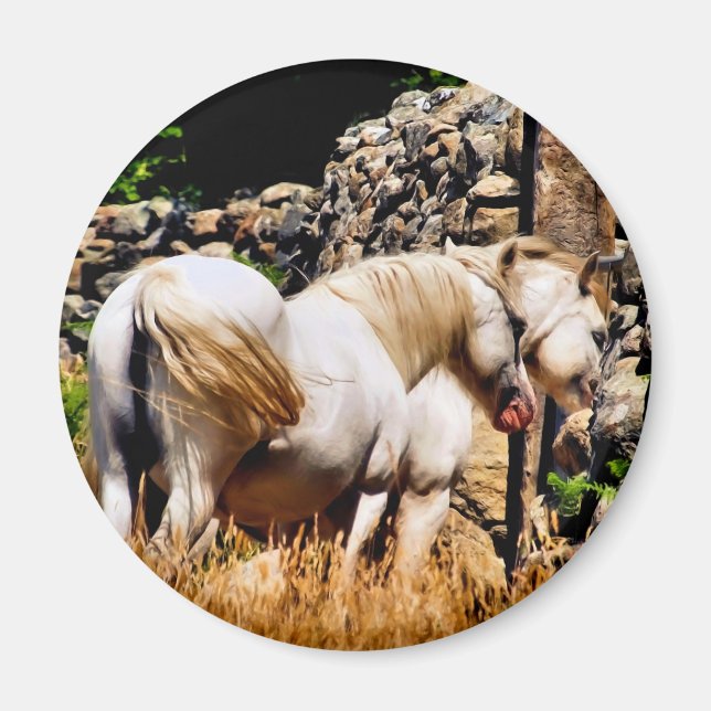 HORSES MAGNET (Front)