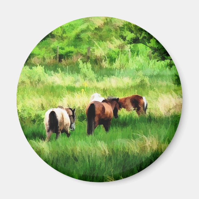 HORSES MAGNET (Front)