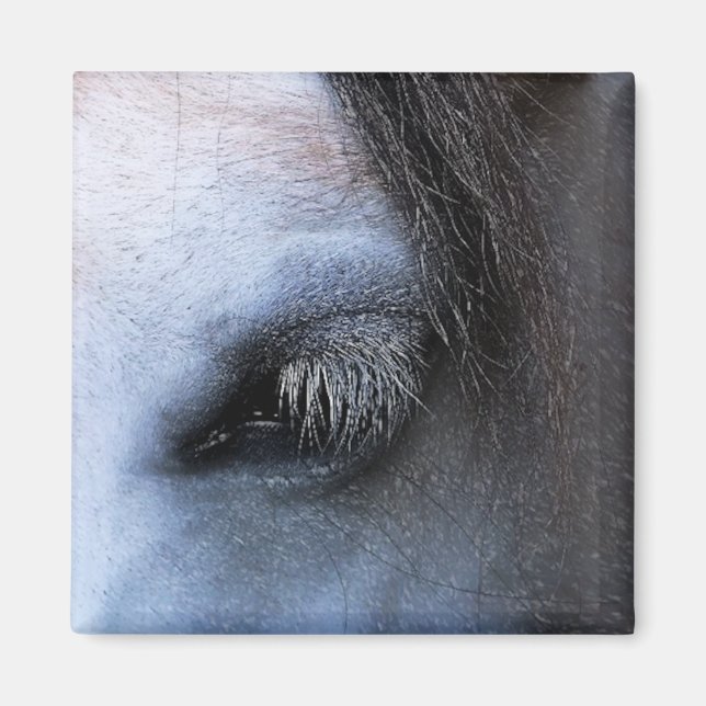 HORSES MAGNET (Front)