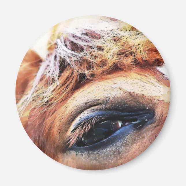 HORSES MAGNET (Front)