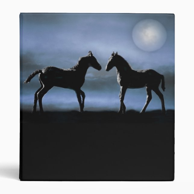 Horses making friends by moonlight binder (Front)