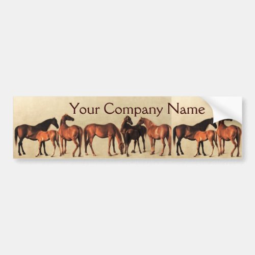 HORSES MARES AND FOALS Horse Breeder Bumper Sticker