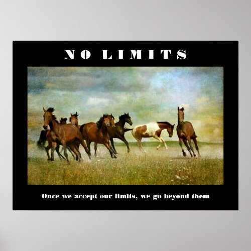 Horses Motivational Inspirational No Limits Quote Poster