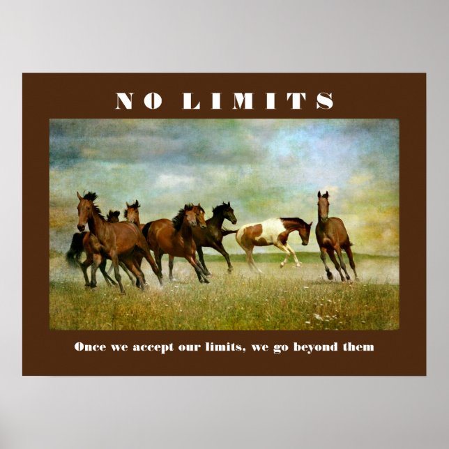 Horses Motivational Inspirational No Limits Quote Poster (Front)