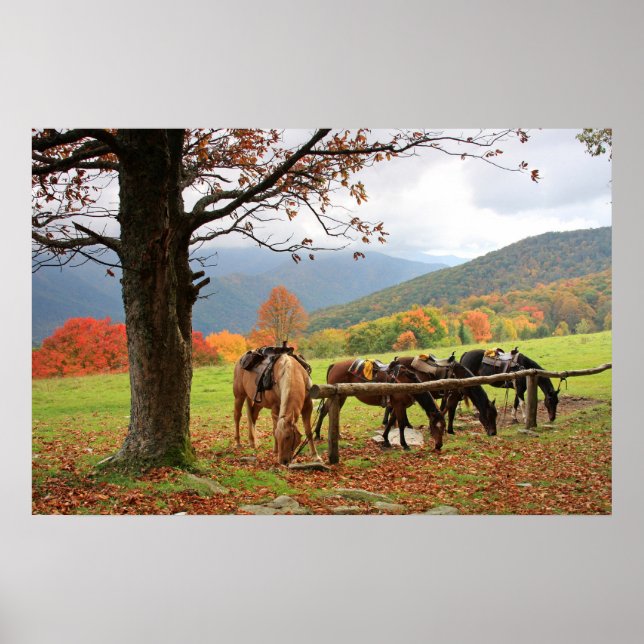 Horses, Mountains, Autumn Poster (Front)