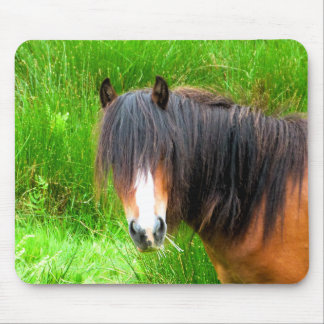HORSES MOUSE PAD