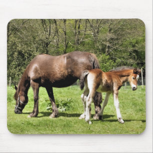 HORSES MOUSE PAD