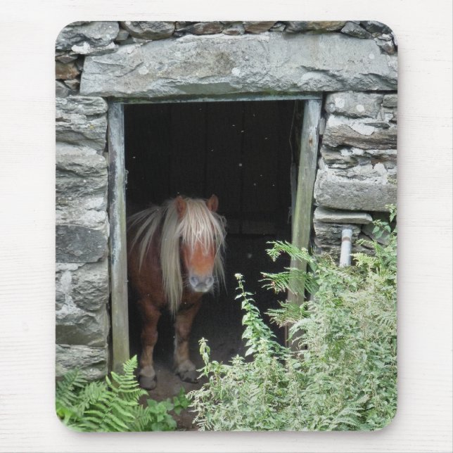 HORSES MOUSE PAD (Front)