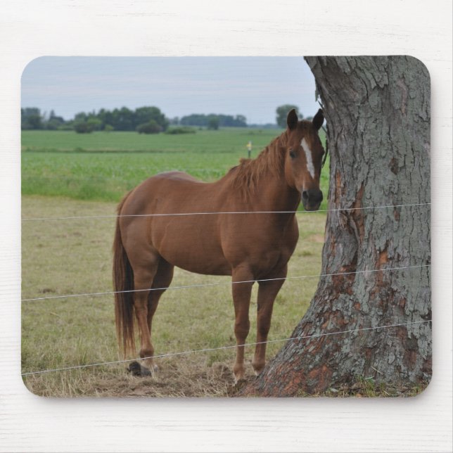 Horses Mouse Pad (Front)
