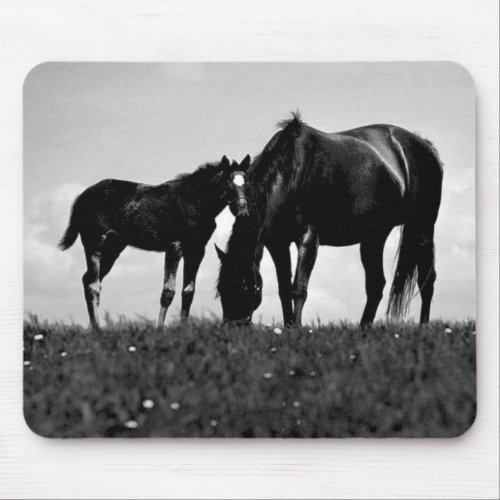 Horses Mouse Pad