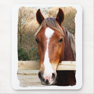 HORSES MOUSE PAD