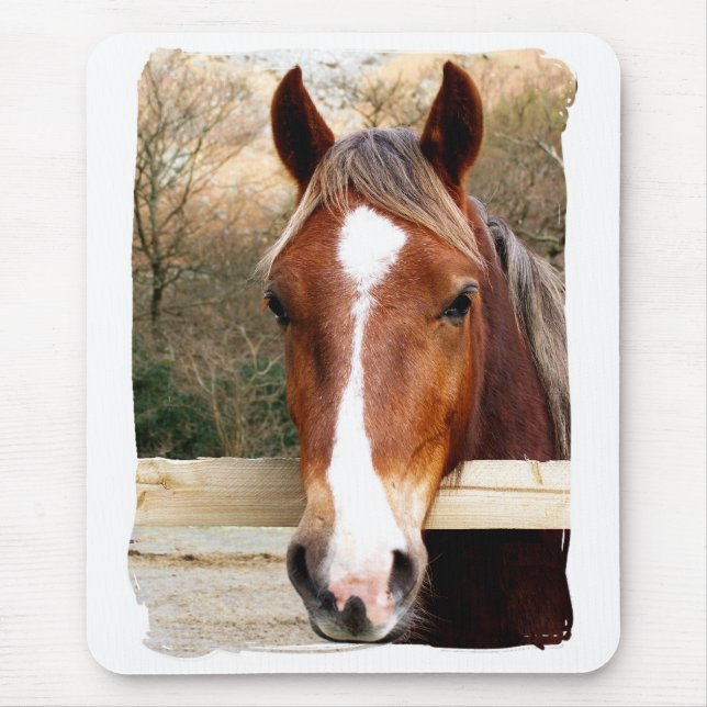 HORSES MOUSE PAD (Front)
