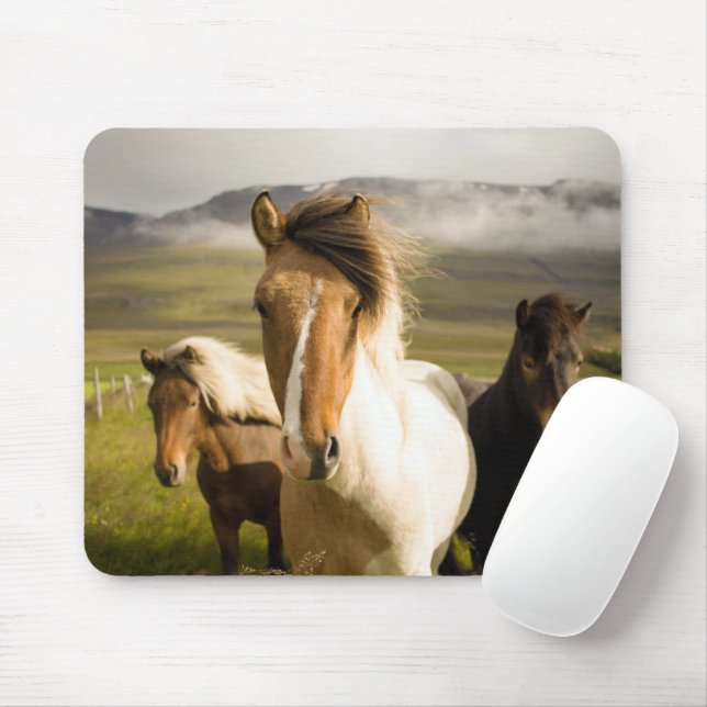 Horses Mouse Pad (With Mouse)
