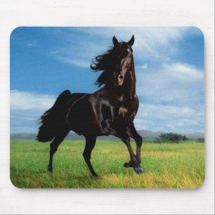Horses Mouse Pad