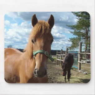 Horses mousepad