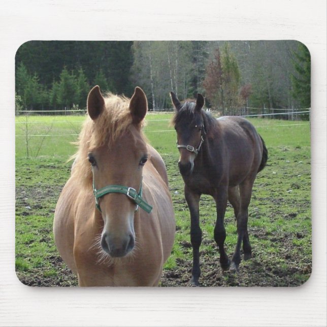 Horses mousepad (Front)