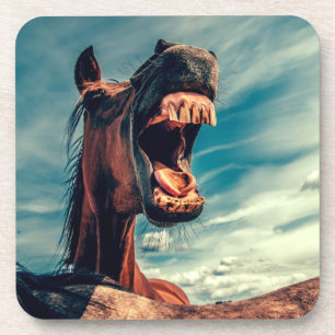 Horse's Mouth Teeth Neigh Wild Horse Animal Beverage Coaster