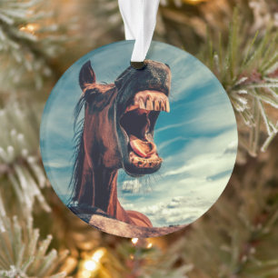 Horse's Mouth Teeth Neigh Wild Horse Animal Ornament