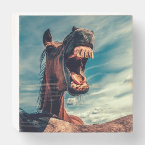 Horses Mouth Teeth Neigh Wild Horse Animal Wooden Box Sign