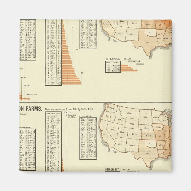 Horses, mules, asses, sheep magnet (Front)