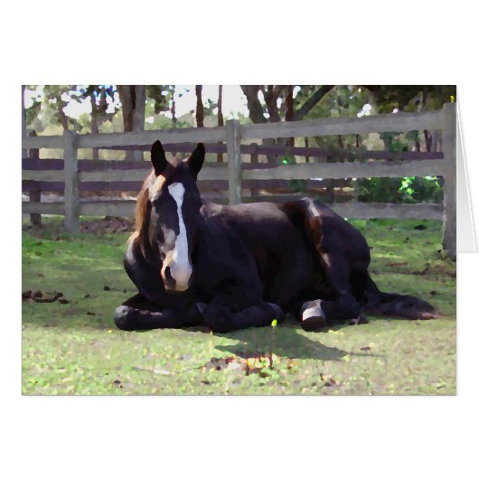 Horses' Nap Time Cards (Front Horizontal)