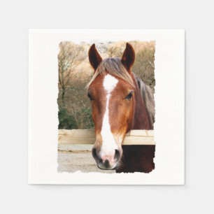 HORSES NAPKINS