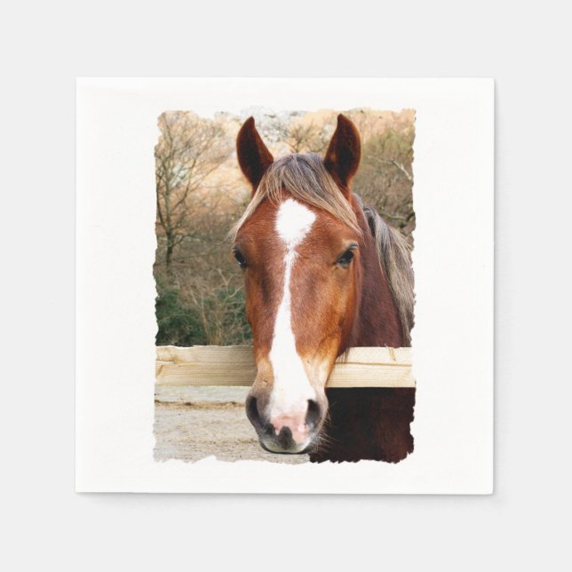 HORSES NAPKINS (Front)