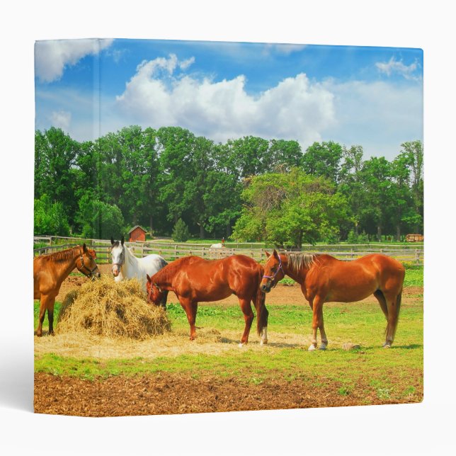 Horses Nature Binder (Front/Spine)