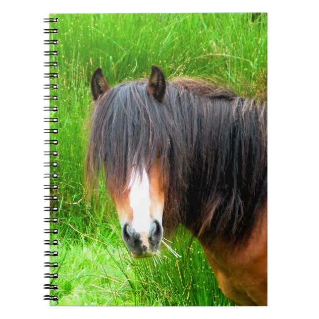 HORSES NOTEBOOK (Front)