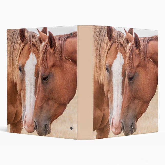 Horses nuzzling in a pasture 3 ring binder (Background)