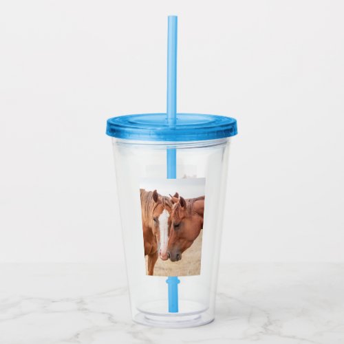 Horses nuzzling in a pasture acrylic tumbler