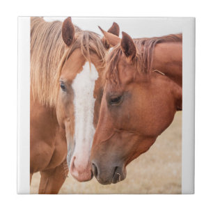 Horses nuzzling in a pasture ceramic tile