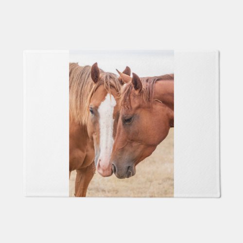 Horses nuzzling in a pasture doormat